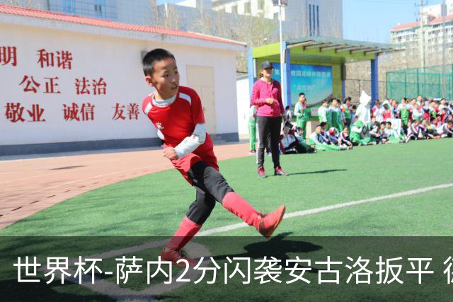 世界杯-萨内2分闪袭安古洛扳平 德国半场1-1厄瓜多尔